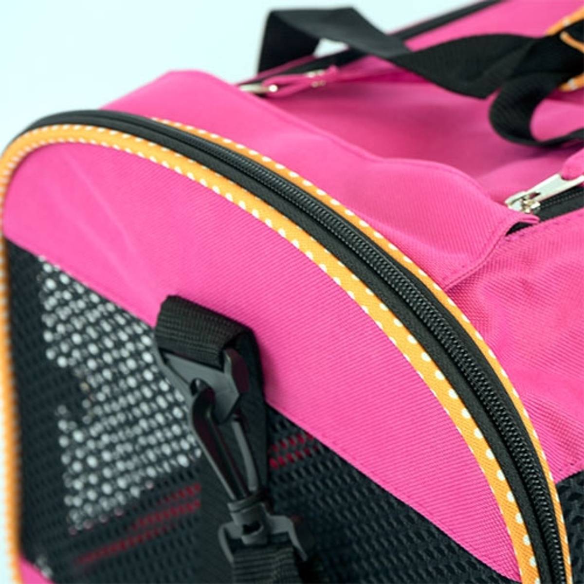 Transport bag, Ibanez