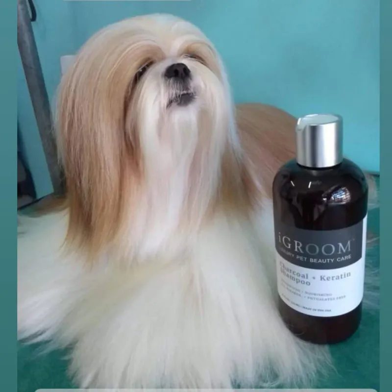 Charcoal + Keratin Shampoo 473ml, iGROOM