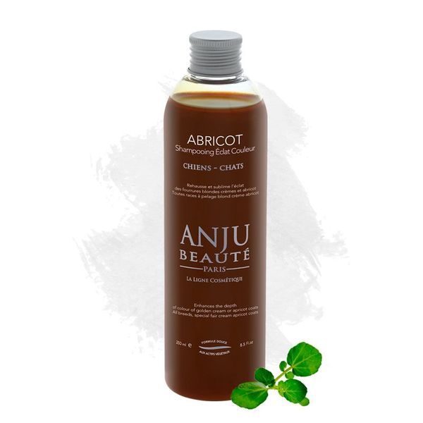 Hovedbilde Abricot Shampo 250 ml, Anju-Beautè
