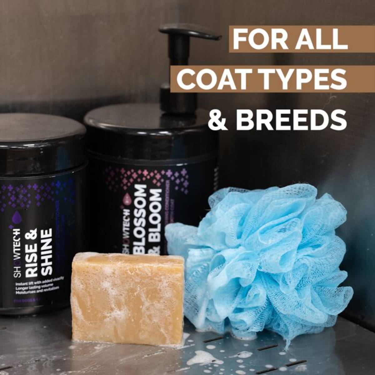 Buble Bliss shampoo bar,  ShowTech