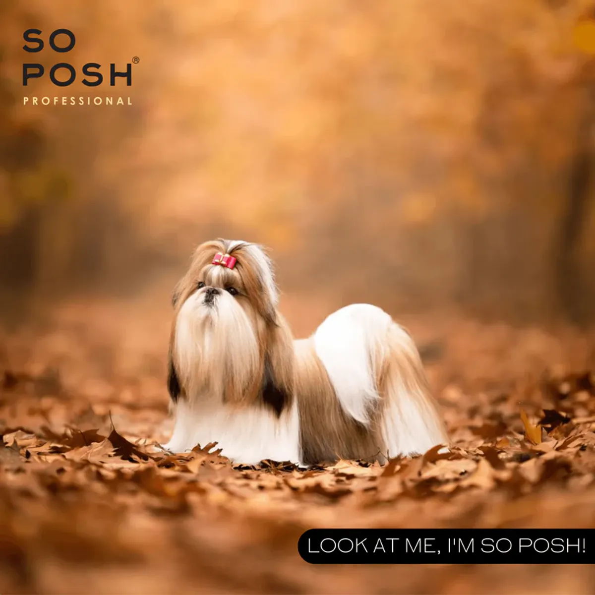 So Sleek - finishing smoothing cream 250 ml. SoPosh
