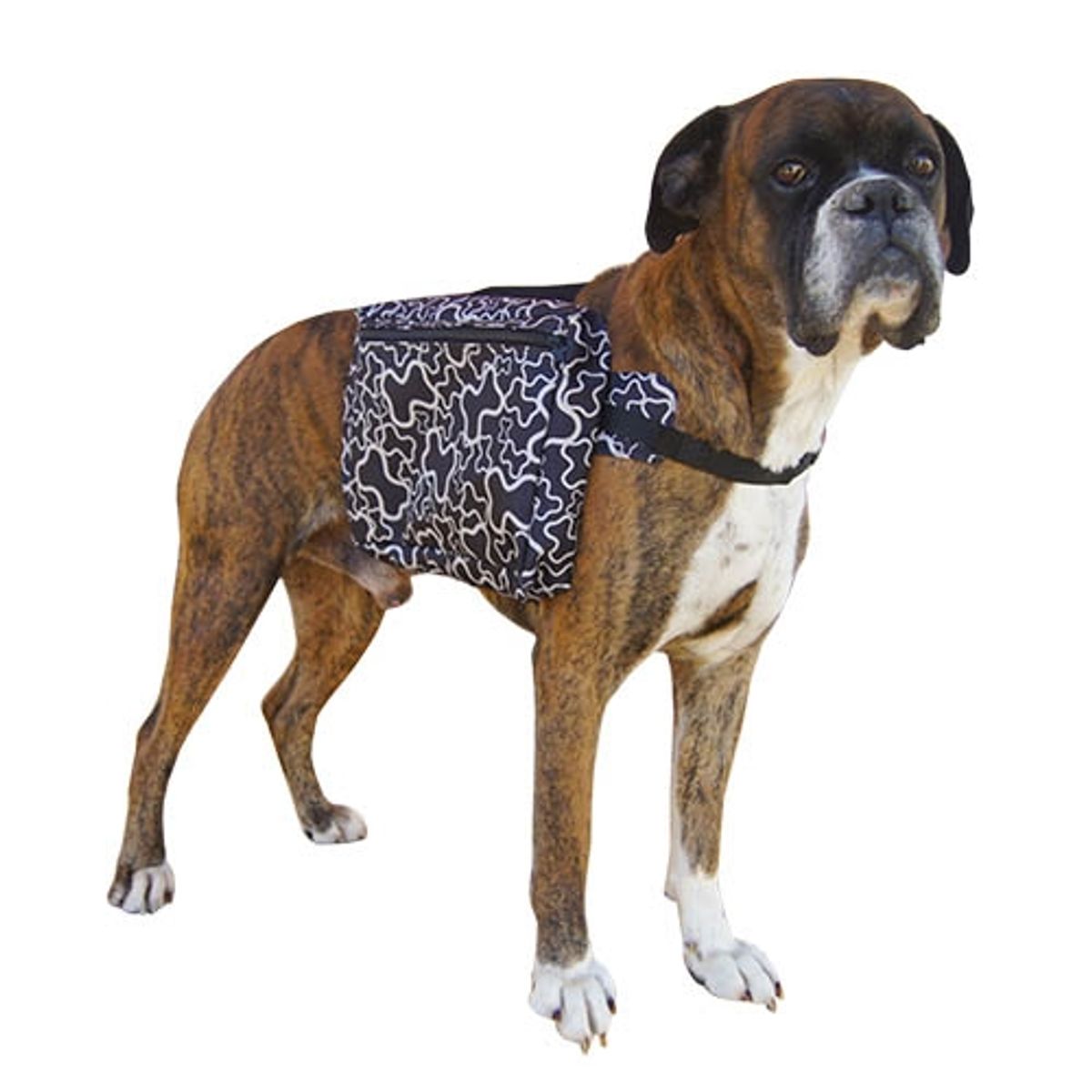 Salveske (Backpack) til Store hunder, Ibanez