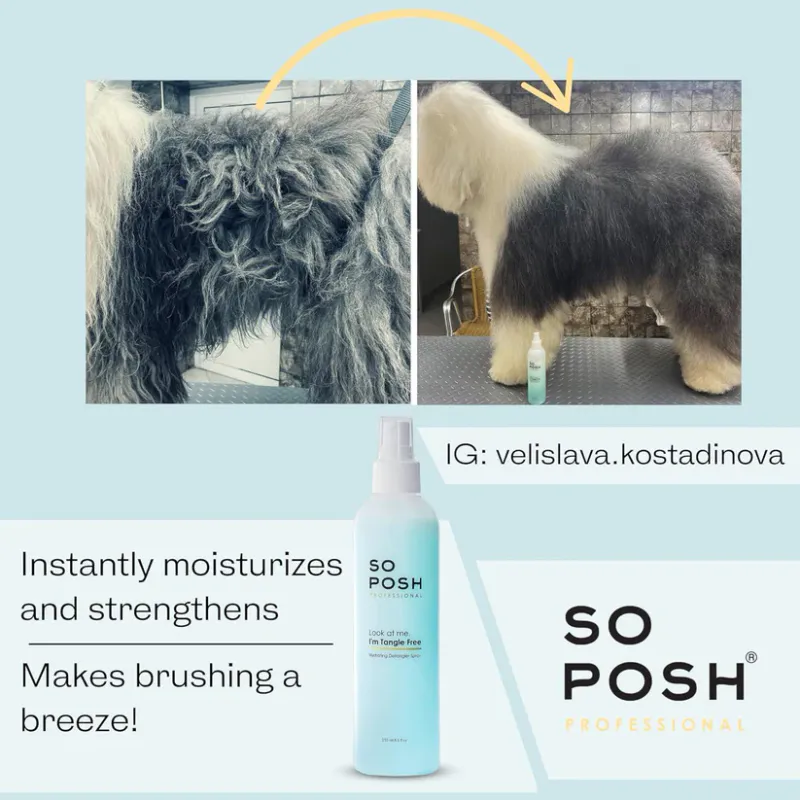 Look at Me, I'm Tangle Free Detangling Spray 4L. SoPosh