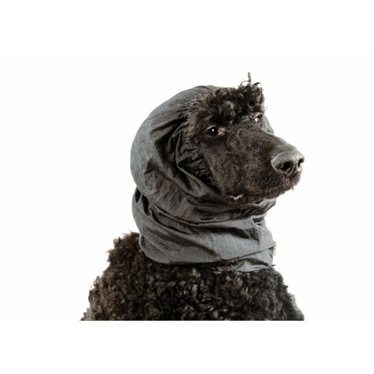 Snood Luxe Large Black Ear Covers, Show Tech