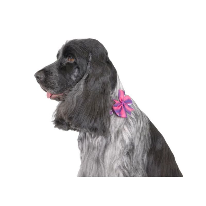 Flower Power Neck Bow 10-pack Assorted, Show Tech