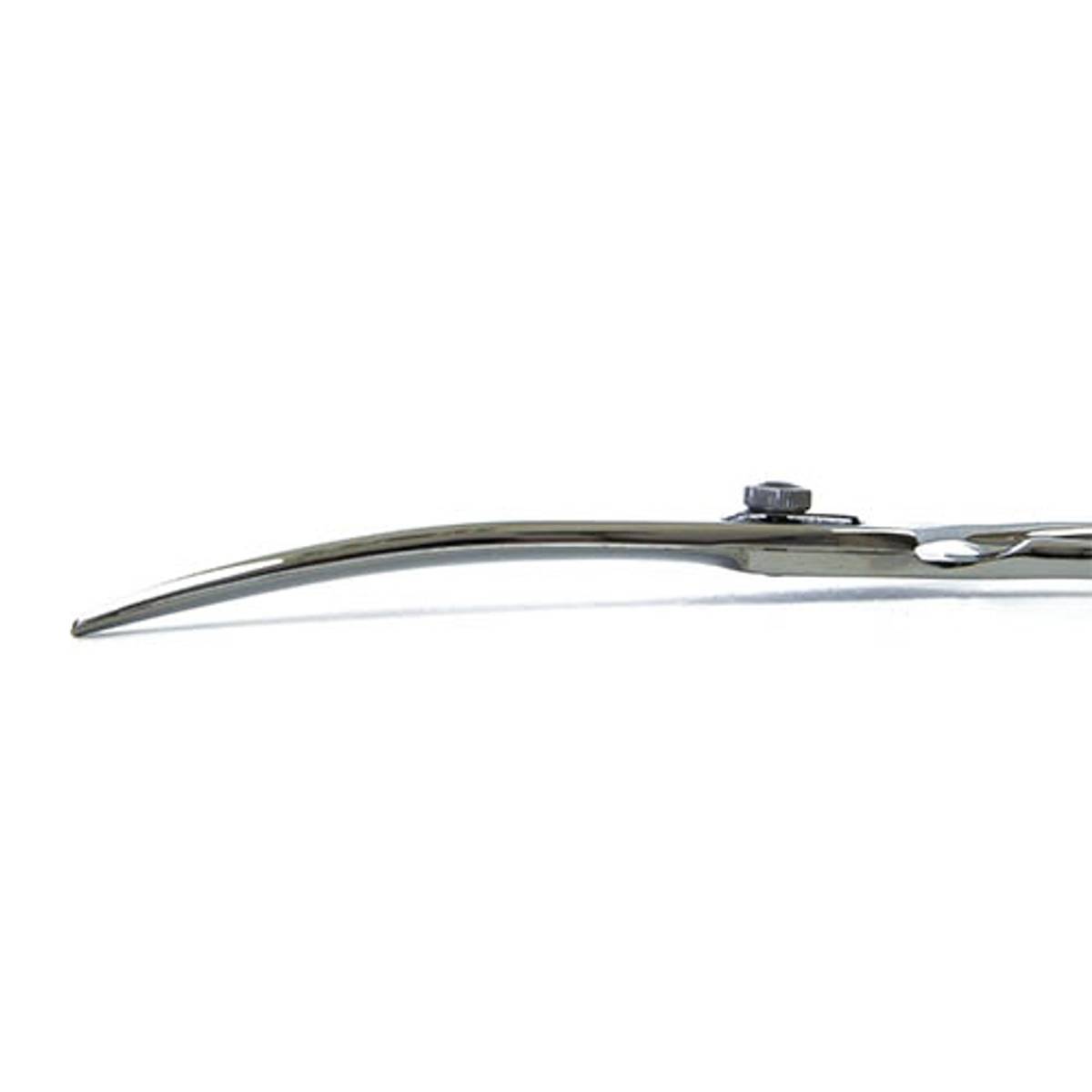 Evidence Enjoy buet saks 20 cm, Ibanez