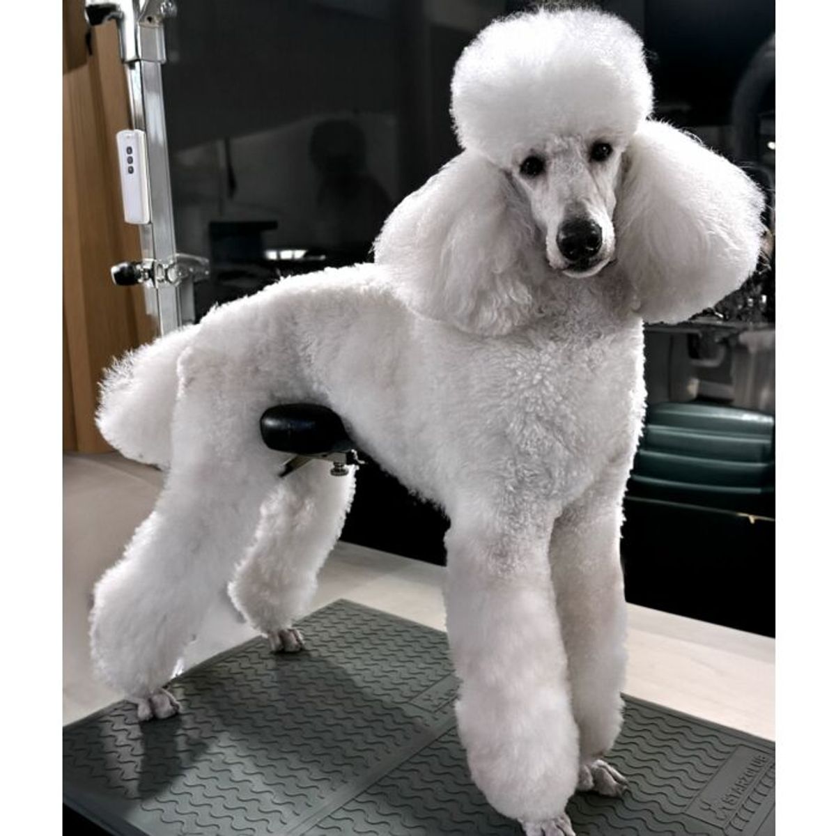 Pro Comfort Rest, Groom-X