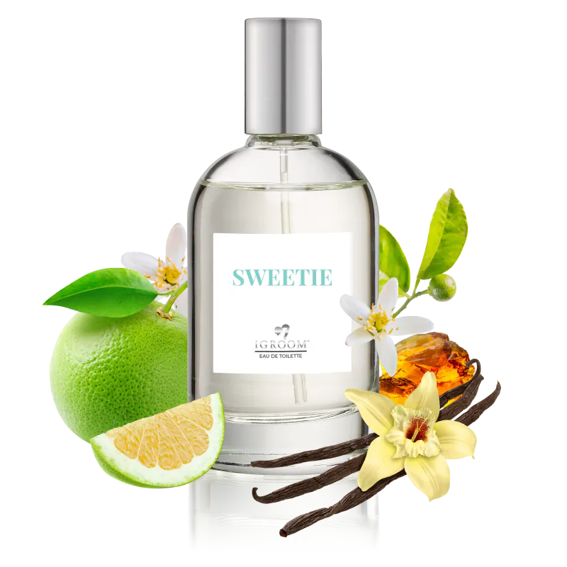 Sweetie Perfume 100ml, iGROOM