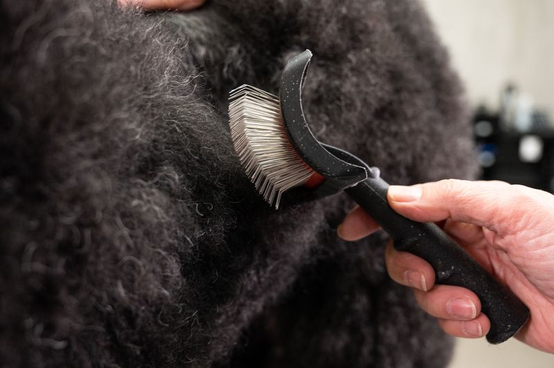 Mega Pin Slicker Medium Slicker Brush, Yento