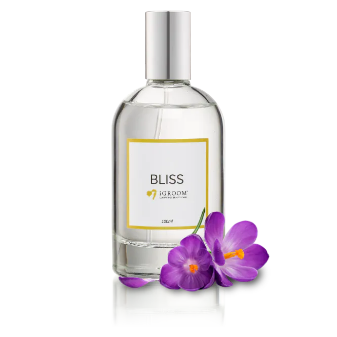 Hovedbilde Bliss Perfume 100ml, iGROOM