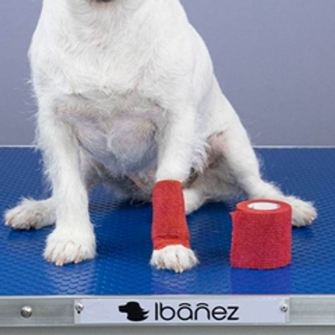 Hovedbilde Elastisk Bandage 7,5 cm, Rød, Ibanez