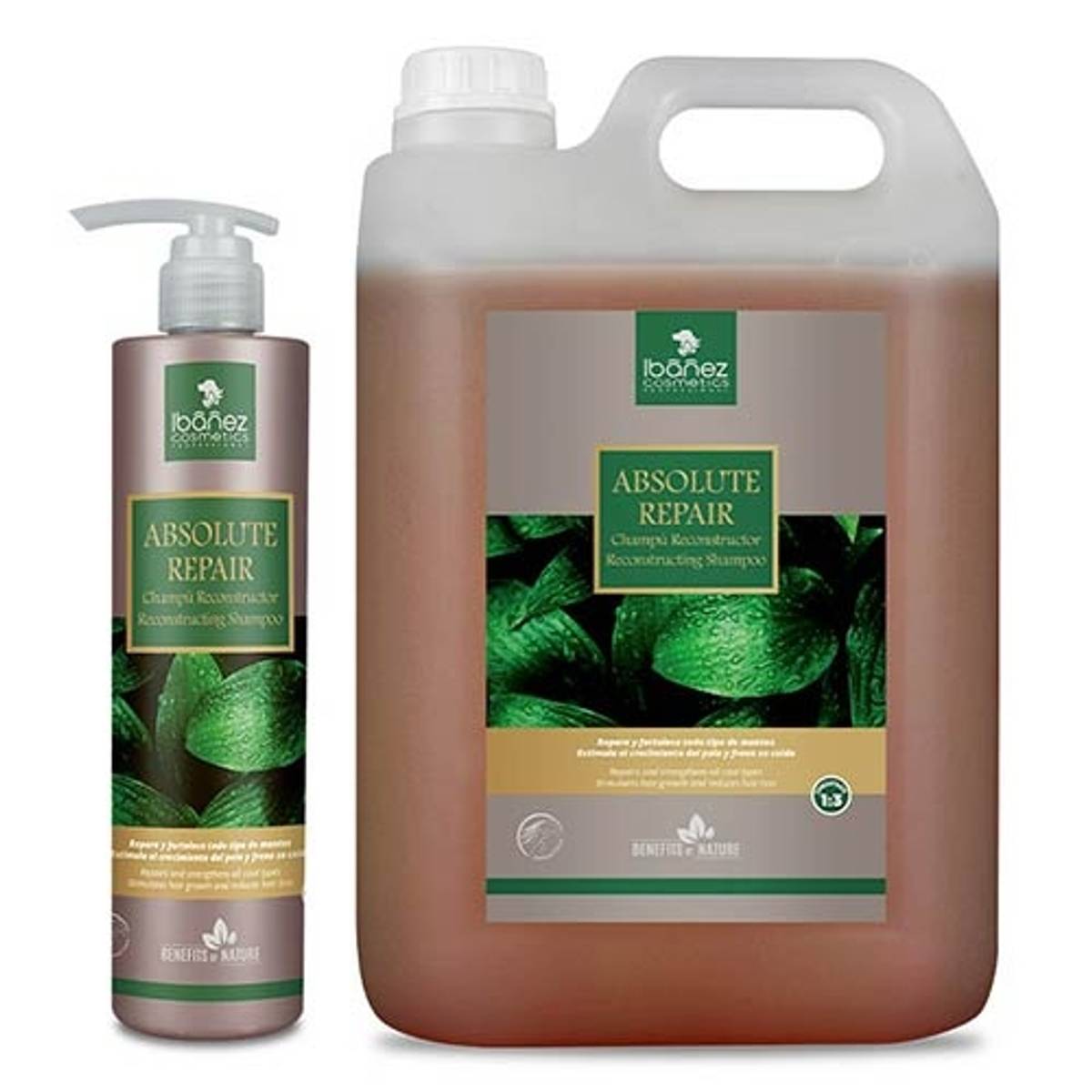  Absolute Repair Shampoo 500ml, Ibanez