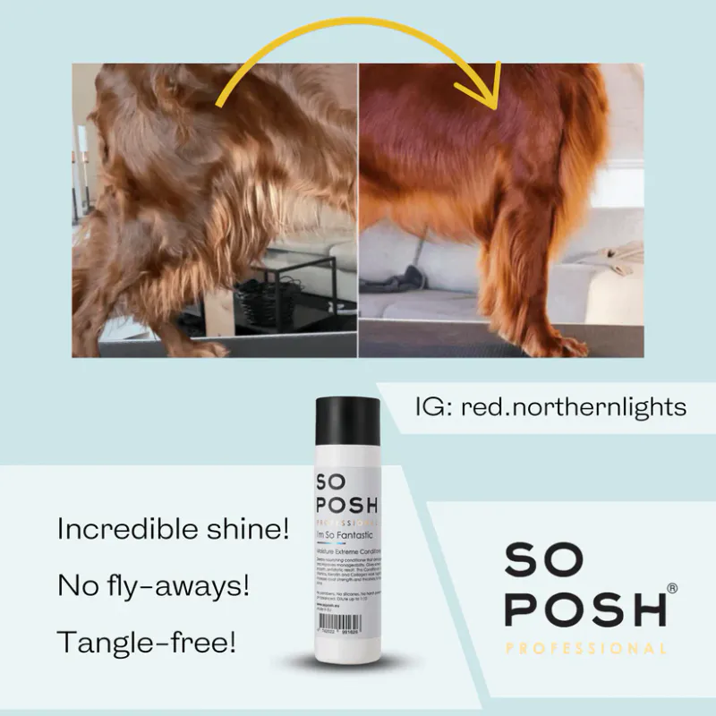 Im So Fantastic 1L. (Deep Moisturizing Conditioner), SoPosh