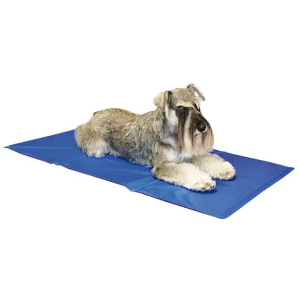 Hovedbilde Kjølematte 40x50cm, Ibanez