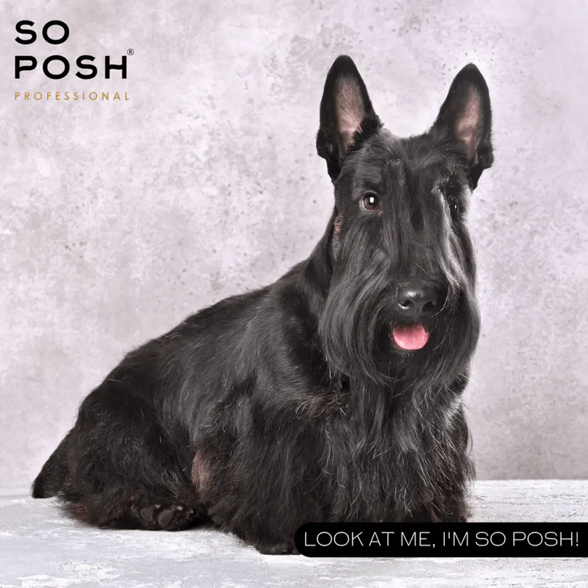 Oh, touch Me- Texturizing Spray 200 ml. SoPosh